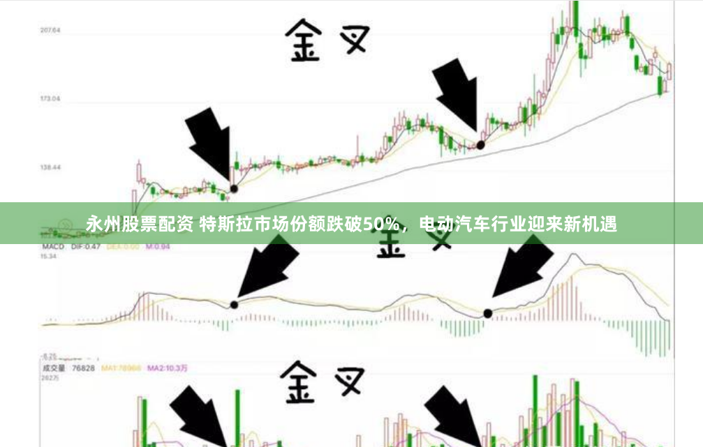永州股票配资 特斯拉市场份额跌破50%，电动汽车行业迎来新机遇